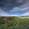 fence pasture